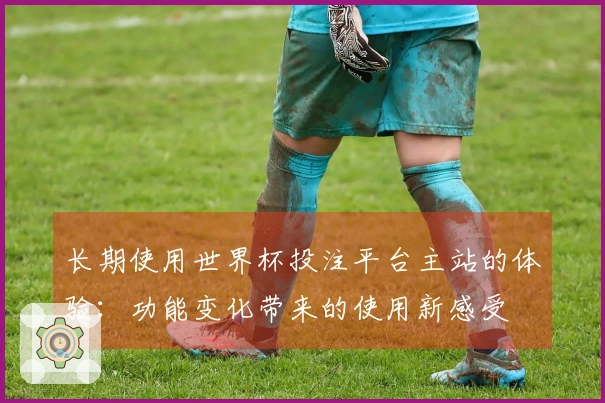 长期使用世界杯投注平台主站的体验：功能变化带来的使用新感受