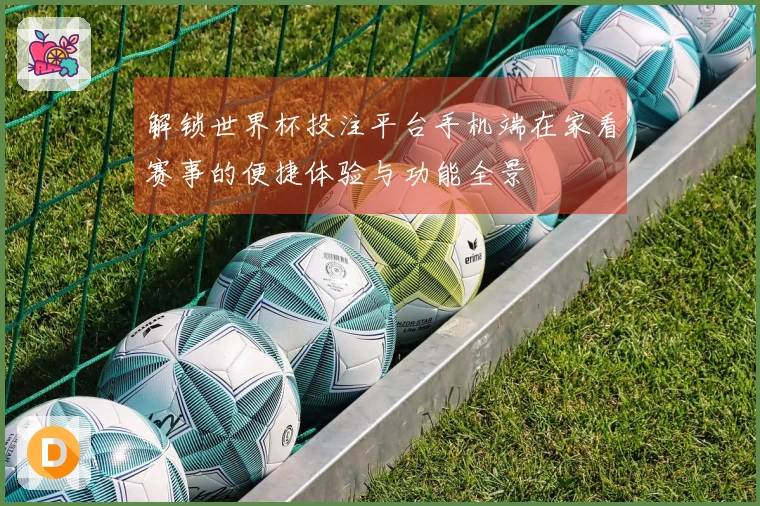 解锁世界杯投注平台手机端在家看赛事的便捷体验与功能全景