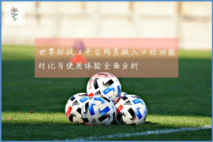 世界杯投注平台网页版入口的功能对比与使用体验全面分析