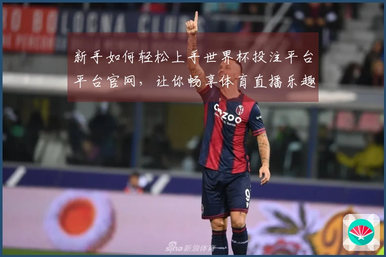 新手如何轻松上手世界杯投注平台平台官网，让你畅享体育直播乐趣