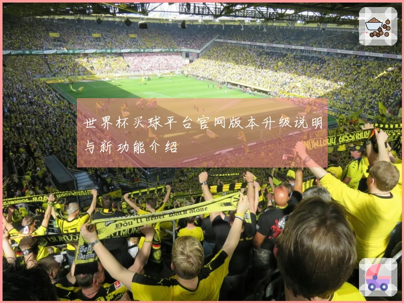 世界杯买球平台官网版本升级说明与新功能介绍