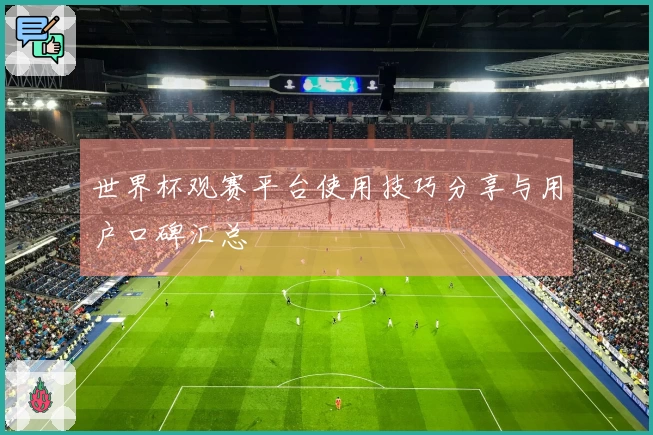 世界杯观赛平台使用技巧分享与用户口碑汇总