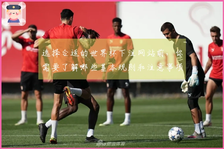选择合适的世界杯下注网站前，你需要了解哪些基本规则和注意事项？