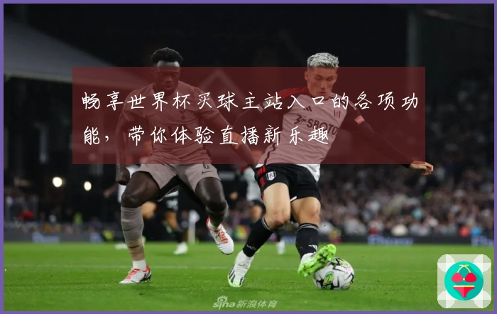 畅享世界杯买球主站入口的各项功能，带你体验直播新乐趣