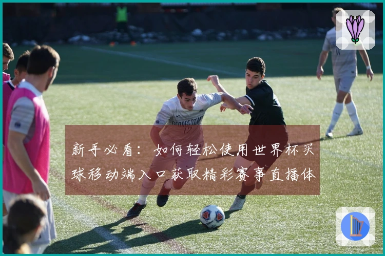 新手必看：如何轻松使用世界杯买球移动端入口获取精彩赛事直播体验