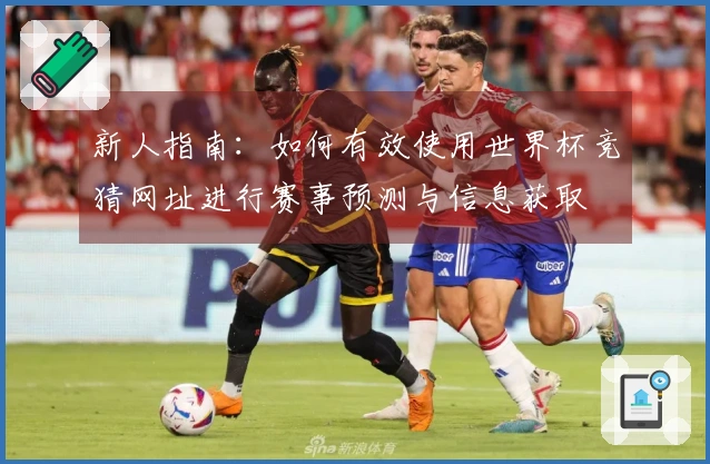 新人指南：如何有效使用世界杯竞猜网址进行赛事预测与信息获取