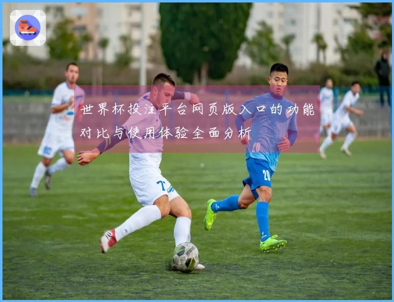 世界杯投注平台网页版入口的功能对比与使用体验全面分析