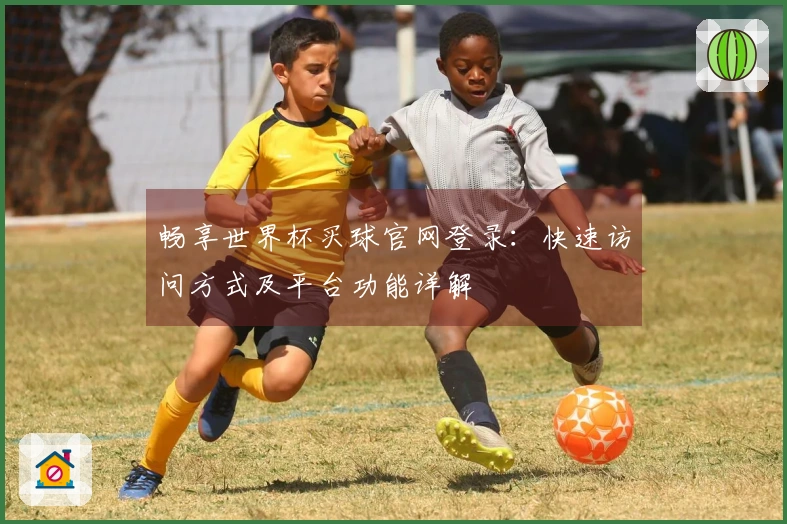畅享世界杯买球官网登录：快速访问方式及平台功能详解