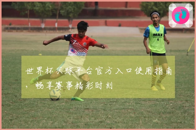 世界杯买球平台官方入口使用指南，畅享赛事精彩时刻
