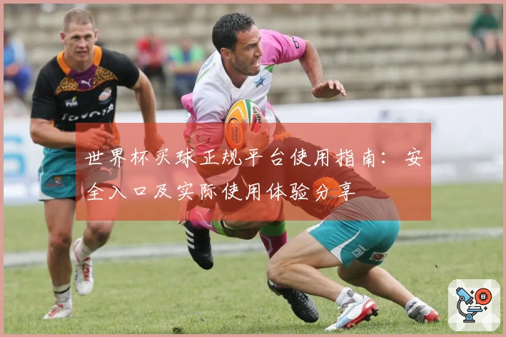 世界杯买球正规平台使用指南：安全入口及实际使用体验分享
