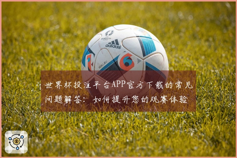 世界杯投注平台APP官方下载的常见问题解答：如何提升您的观赛体验？